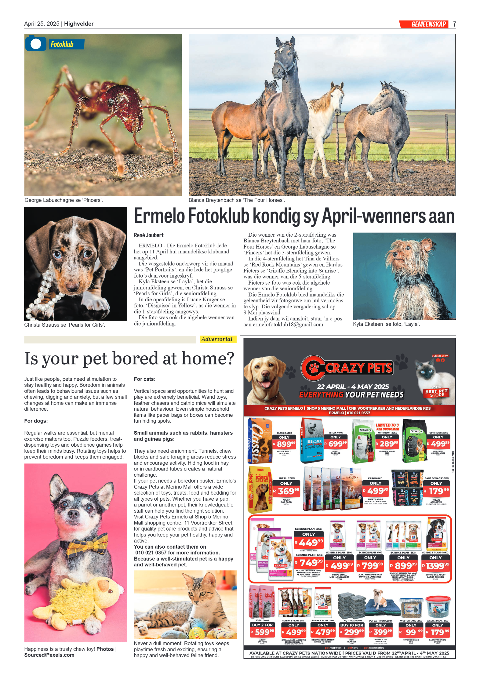 Highvelder Newspaper 25 April 2025 page 7